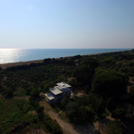 Ktima Βilioni Διαμέρισμα Ζαχάρω Εξωτερικό φωτογραφία