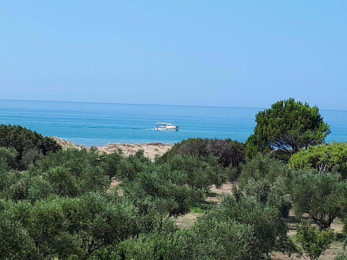 Ktima Βilioni Διαμέρισμα Ζαχάρω Εξωτερικό φωτογραφία