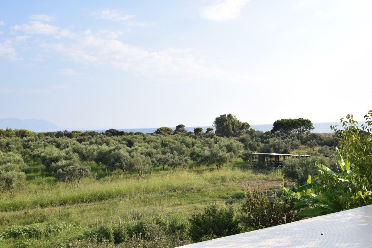 Ktima Βilioni Διαμέρισμα Ζαχάρω Εξωτερικό φωτογραφία