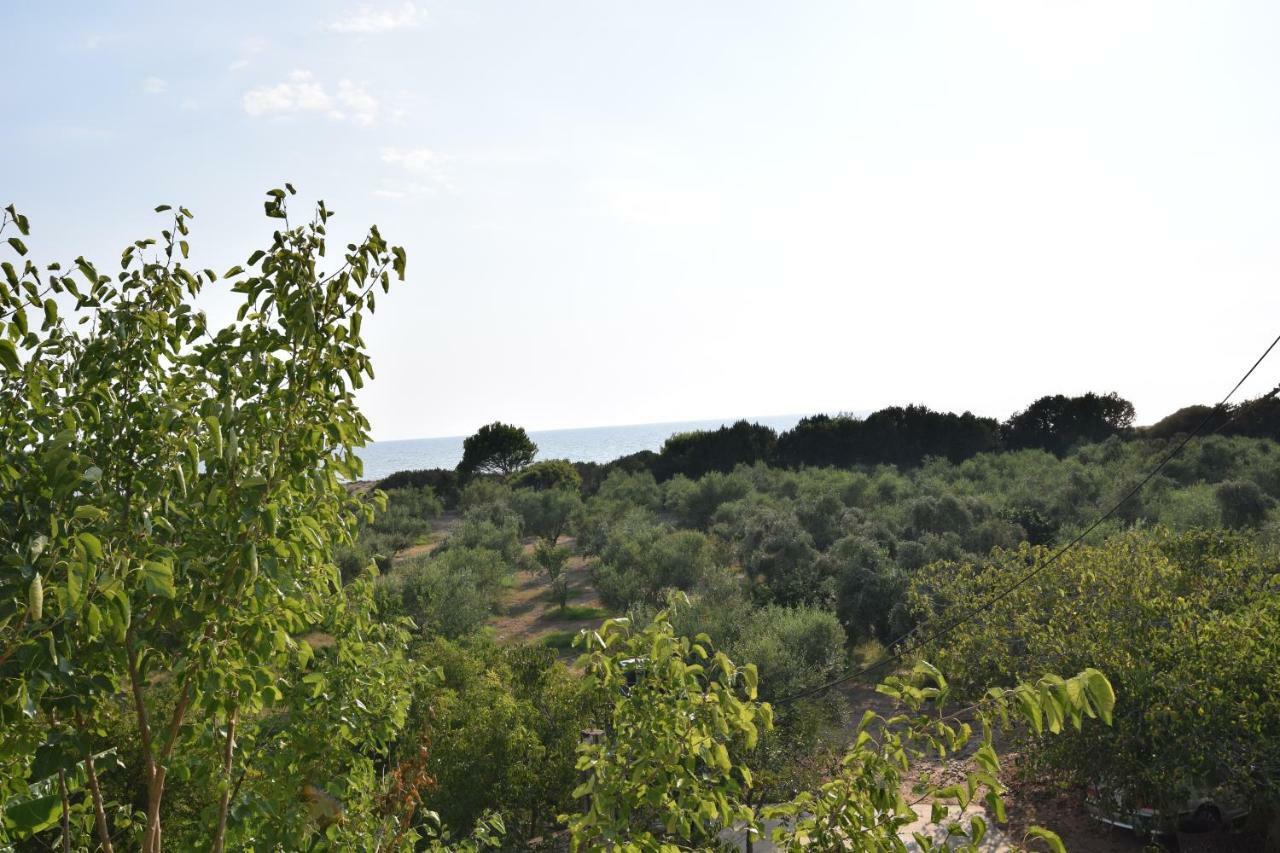 Ktima Βilioni Διαμέρισμα Ζαχάρω Εξωτερικό φωτογραφία