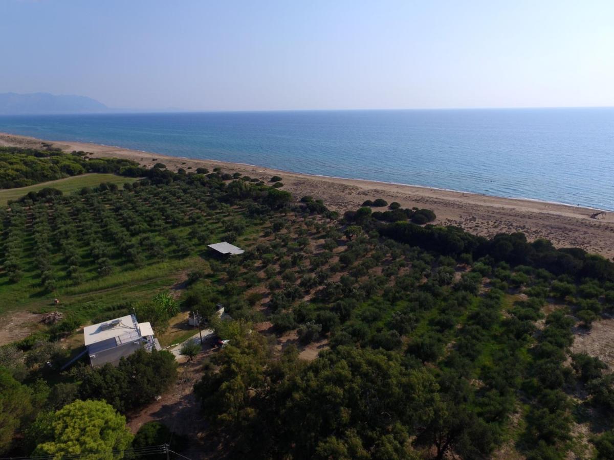 Ktima Βilioni Διαμέρισμα Ζαχάρω Εξωτερικό φωτογραφία